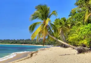 saudbeach